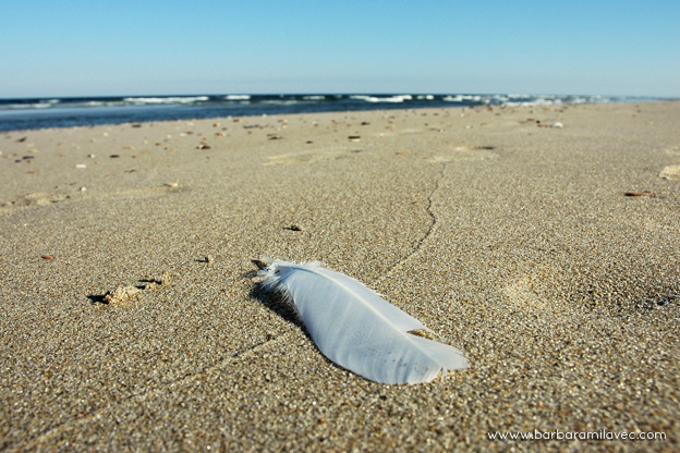 Outer Banks, NC
